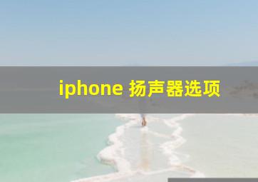 iphone 扬声器选项